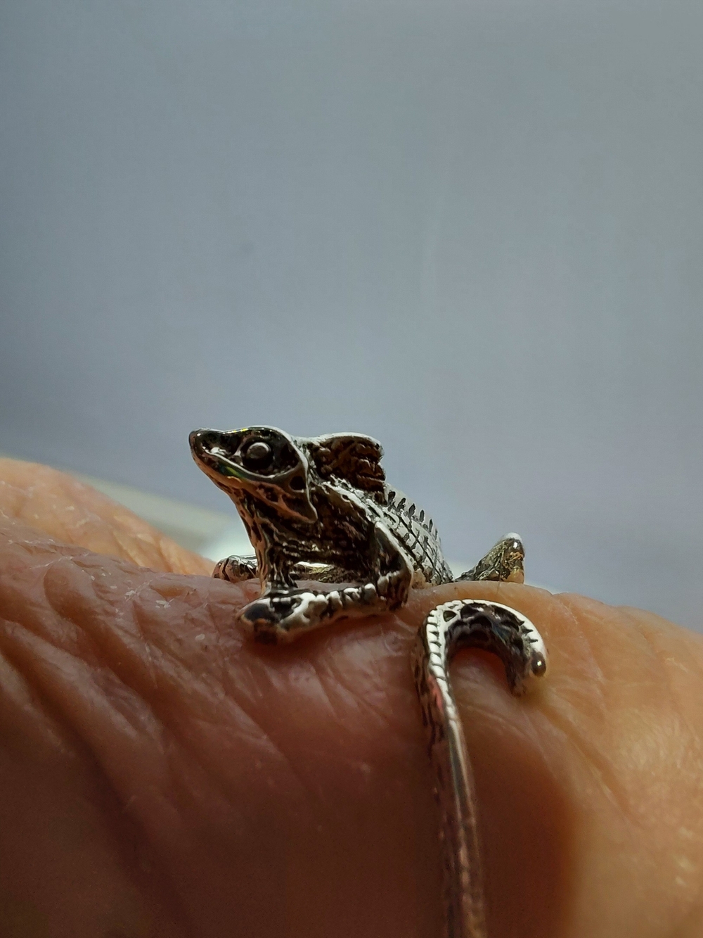 Chameleon Cutie - Picture 4 of 5